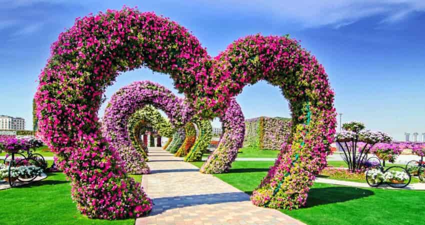 dubai miracle garden