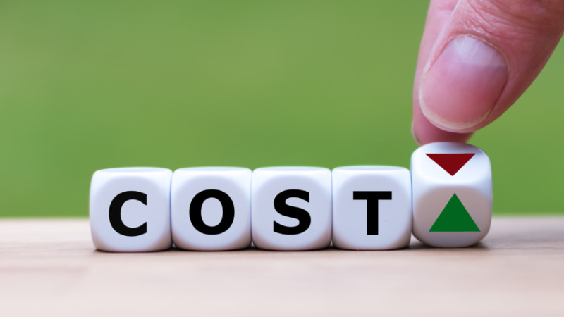 Dubai Visa fees for Nigerian Citizens